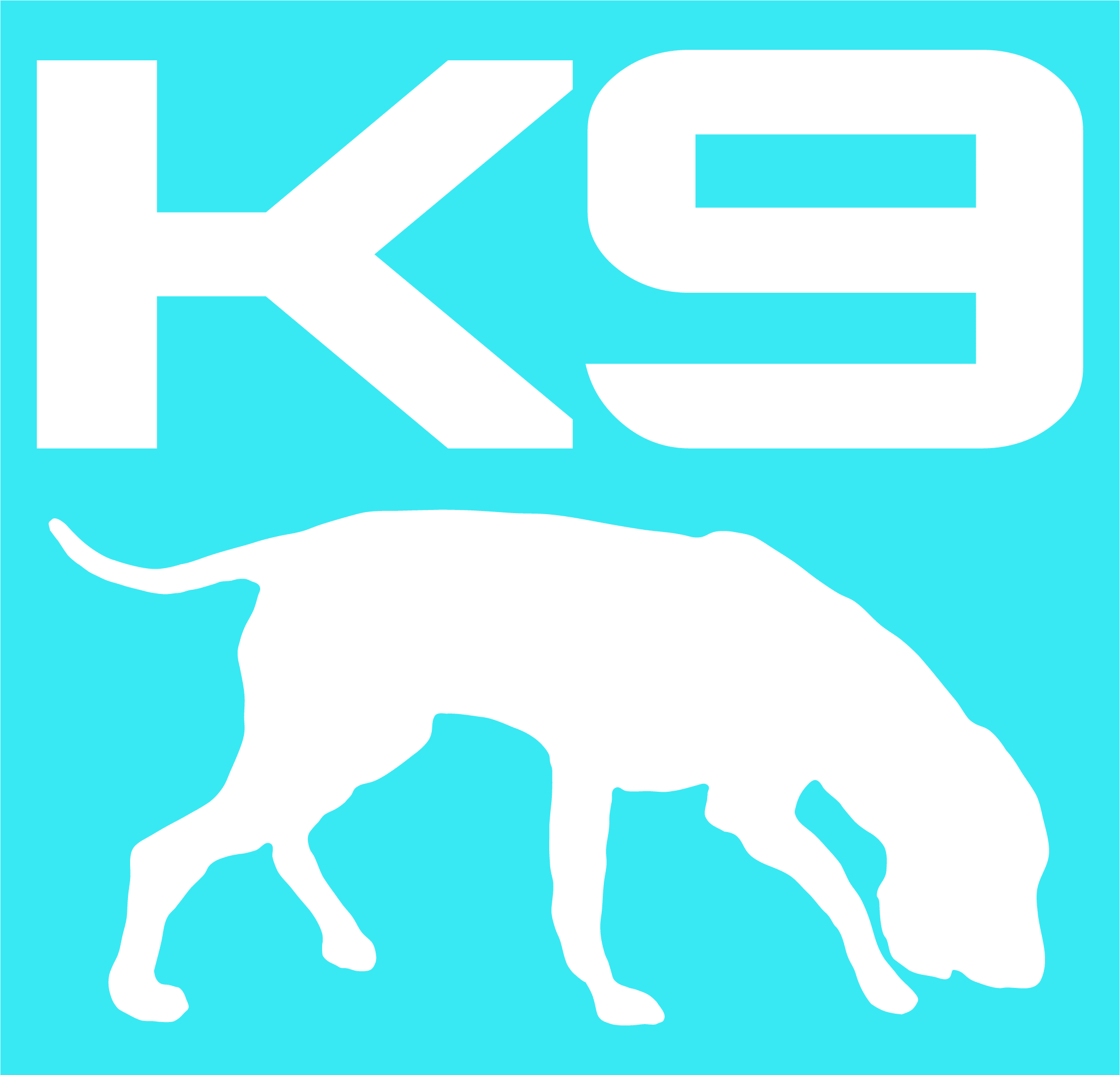 K9 Keresőkutyás Egyesület