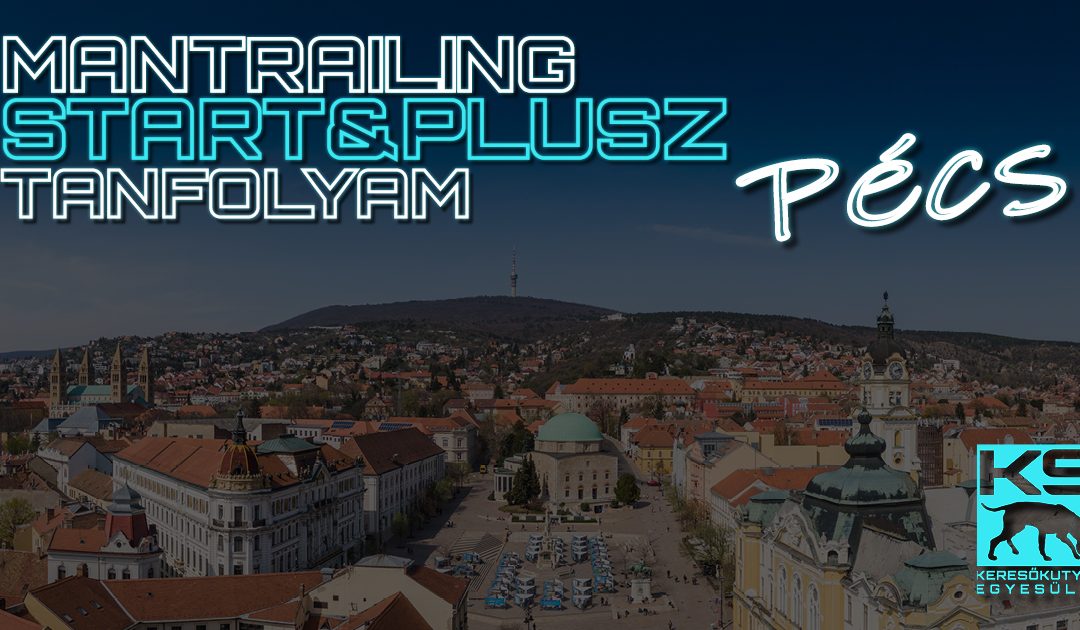 K9 Mantrailing – Start & Plusz Tanfolyam – Pécs, 2023.10.02.-től, hétköznap délelőtt