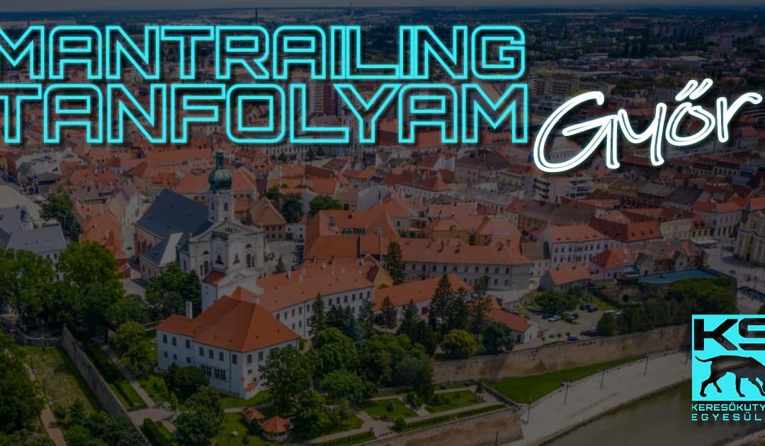 K9 Mantrailing – Start & Plusz Tanfolyam – Győr, 2024.03.09-től