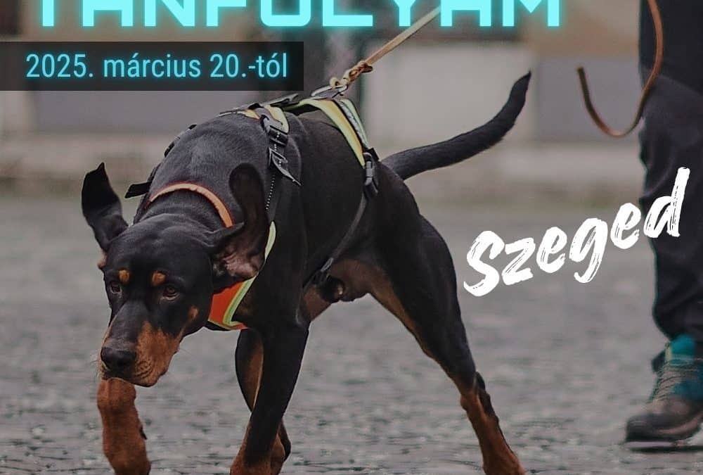 Mantrailing Start & Plusz Tanfolyam – Szeged, 2025.03.20.