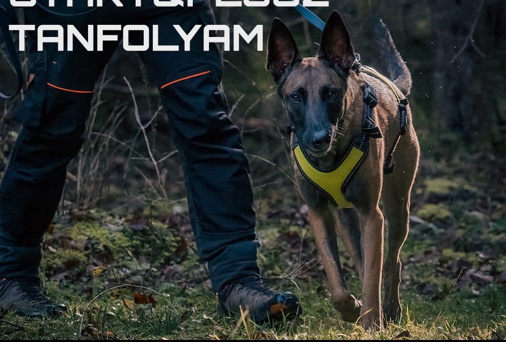 K9 Mantrailing – Start & Plusz Tanfolyam – Pécs, 2025.09.08.-tól, hétköznap
