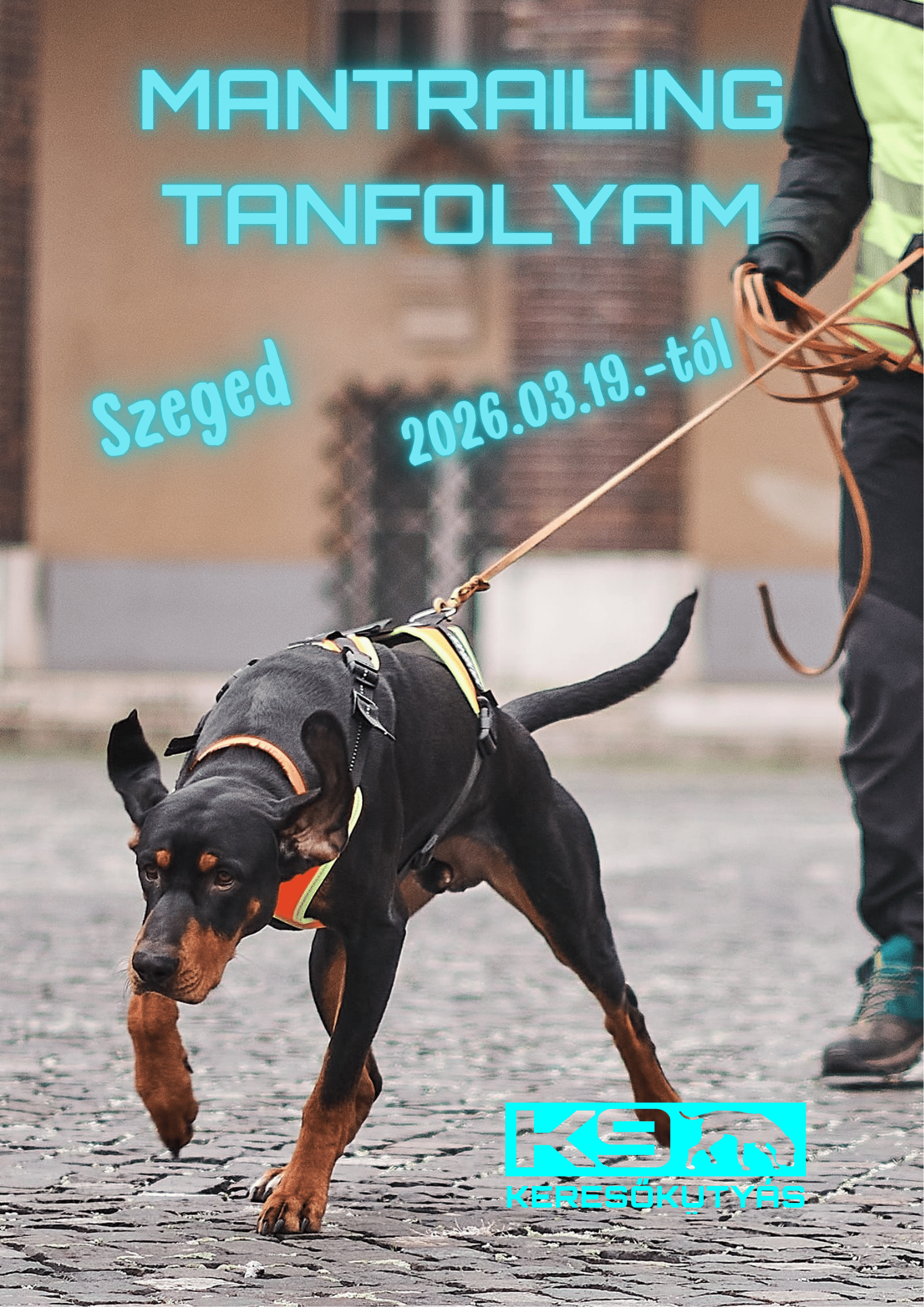 Mantrailing Szeged (1)