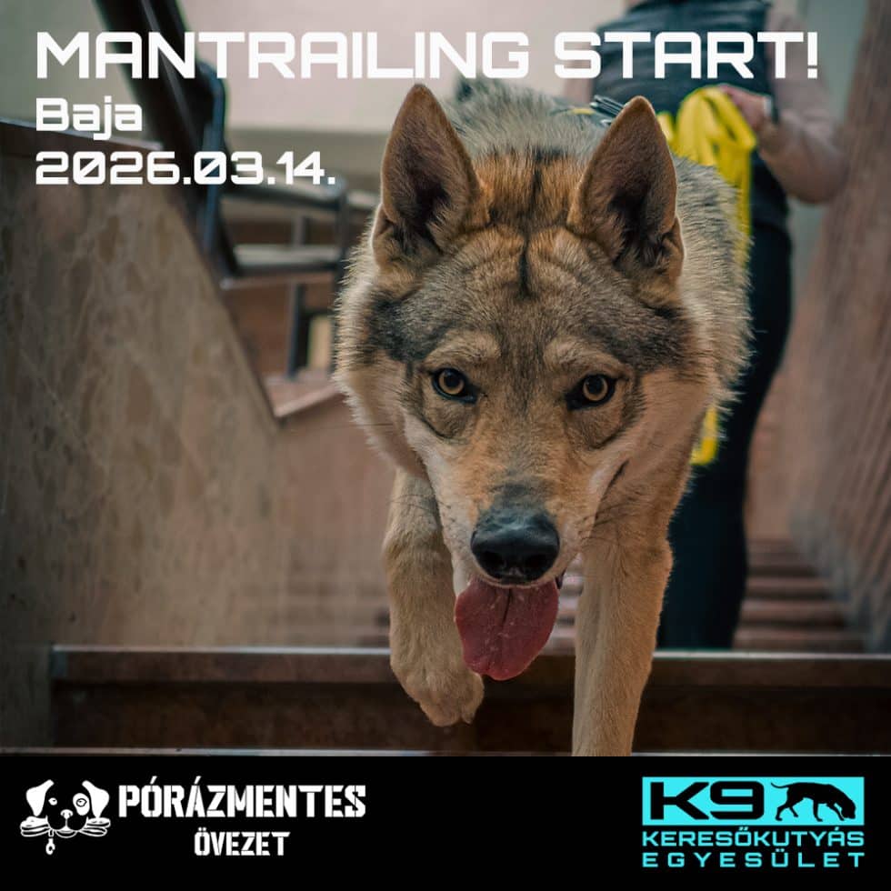 Mantrailing Start! Baja