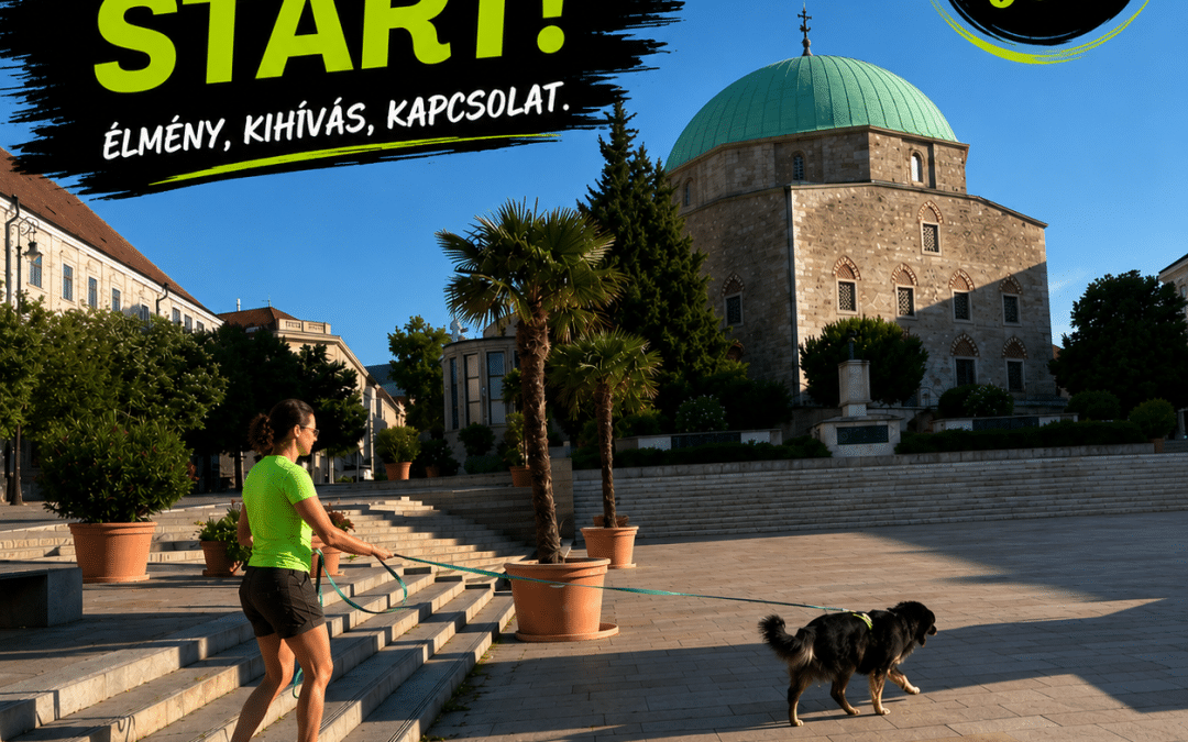 K9 Mantrailing – Start & Plusz Tanfolyam – Pécs, 2026.08.27.-től hétköznap ÉS hétvégén is