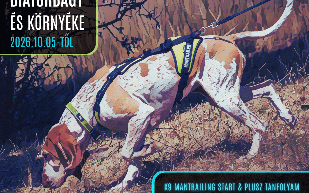 K9 Mantrailing Tanfolyam – Biatorbágy és környéke, 2026.10.05-től